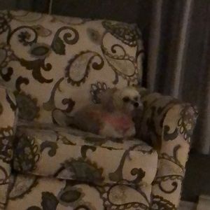 Meet your Posher, Jackie